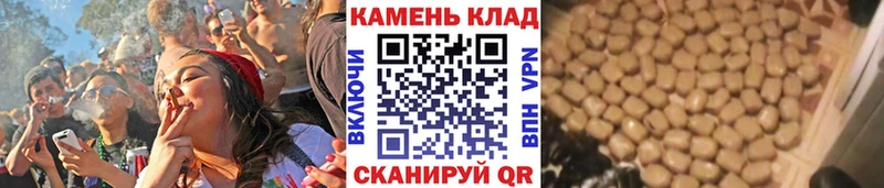 сколько стоит  Тавда  ГАШ Cannabis 