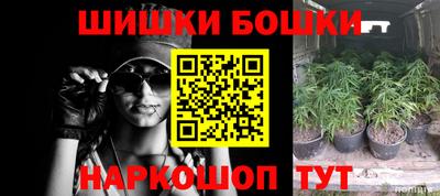 гидропоника Новодвинск