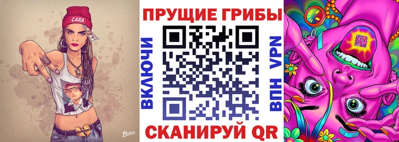 дарнет шоп Тавда Псилоцибиновые грибы Psilocybe