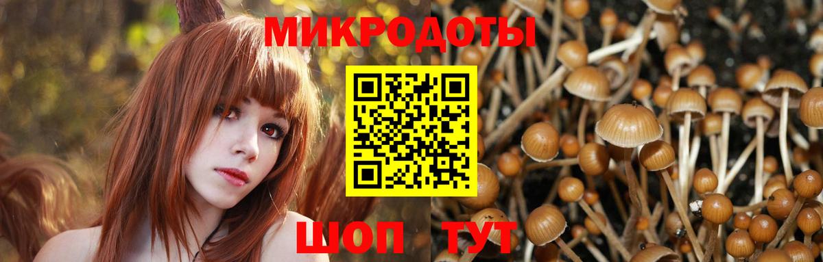 Галлюциногенные грибы GOLDEN TEACHER Тавда
