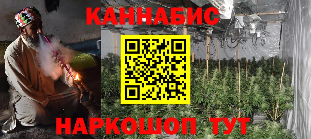 Каннабис сатива Тавда